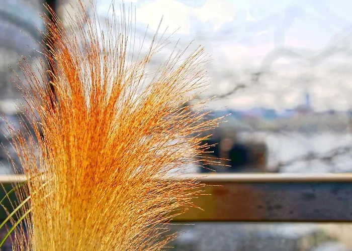 Hafencity! *